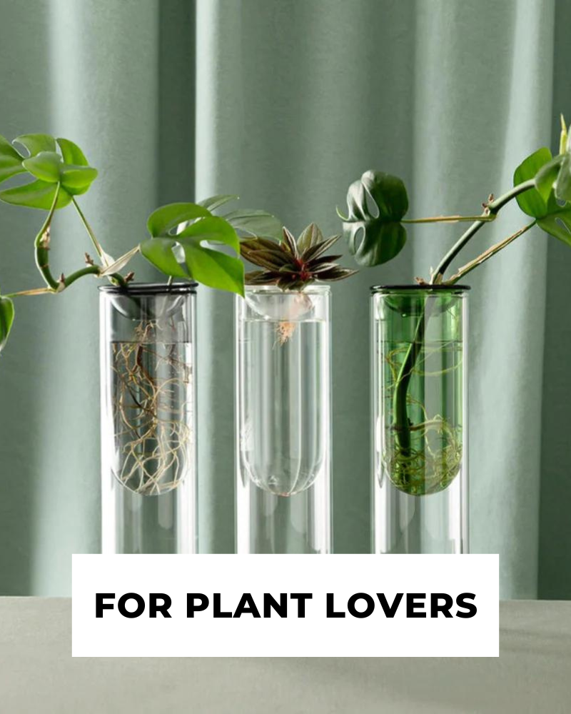 FOR PLANT LOVERS